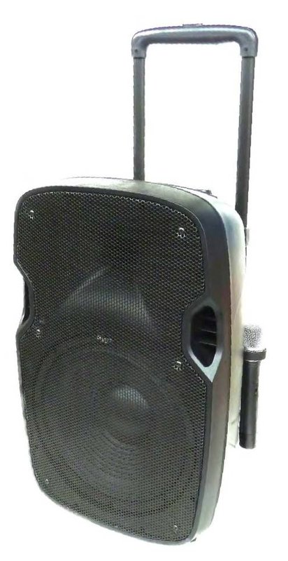 Diffusore amplificato
Diffusore attivo a 2 vie con
BATTERIA incorporata e trolley
2 microfoni wireless VHF
- Lettore MP3 - Wav (USB/SD)
- Radio FM integrata
- Telecomando con sensore
anteriore e posteriore
- Batteria 12 V
30W RMS
100W MAX