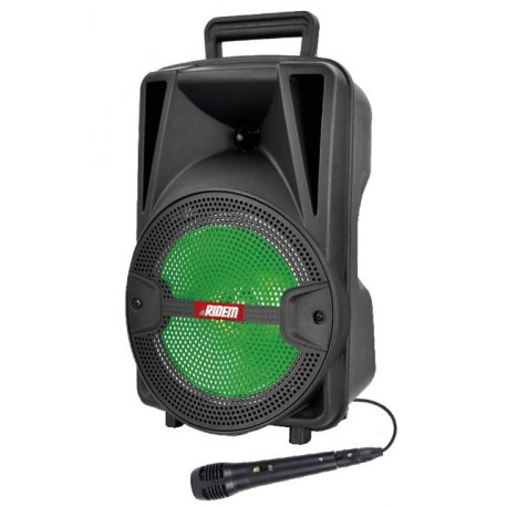 diffusore amplificato
batteria ricaricabile
+ microfono a filo
porta usb
bluetooth
radio fm
woofer 8"
potenza 30 w rms
