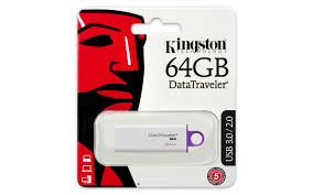 kingston dtig4/64gb