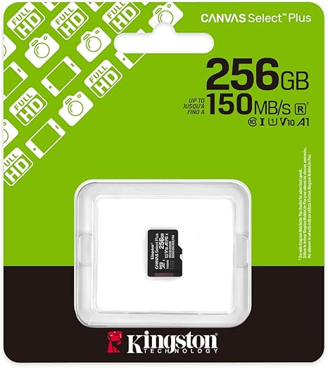 kingston sdcs3/256gb