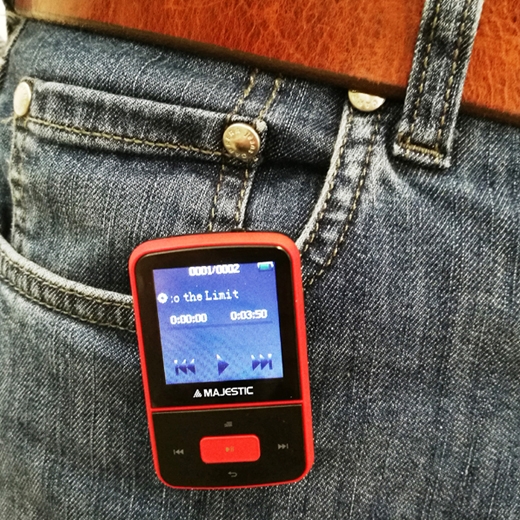 majestic bt-8484r