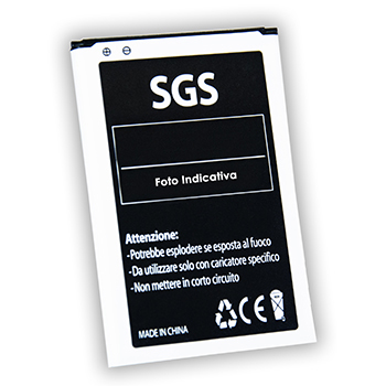sgs basam101
