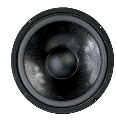 Woofer rotondo da 300mm
Cono in carta
Sospensione in foam
Potenza rmw 140 w
Potenza max 280 w
Impedenza 8 ohm
Frequenza di risonanza 31 hz
Frequenza 30-2.500 hz
Sensibilità 91 db